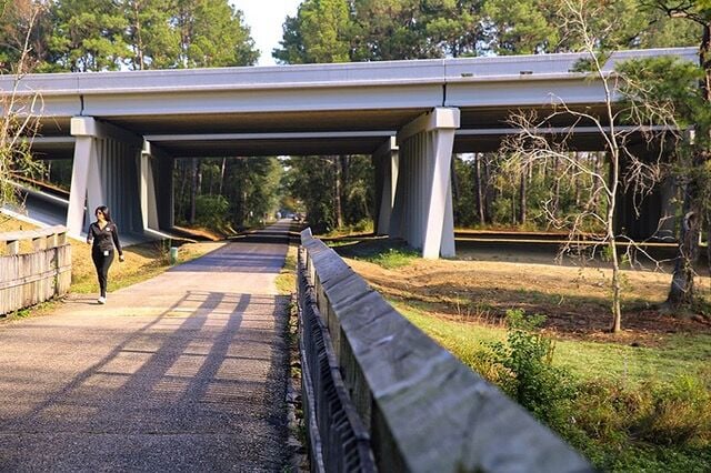 Tammany Trace under I-12 bridge near Koop Drive reopens